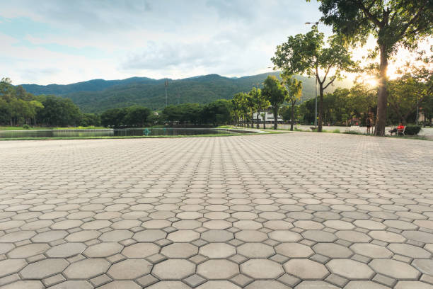 Best Best Driveway Pavers  in Mahnomen, MN